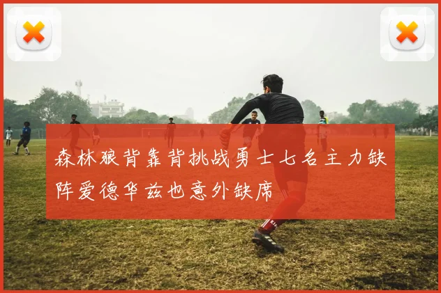 森林狼背靠背挑战勇士七名主力缺阵爱德华兹也意外缺席