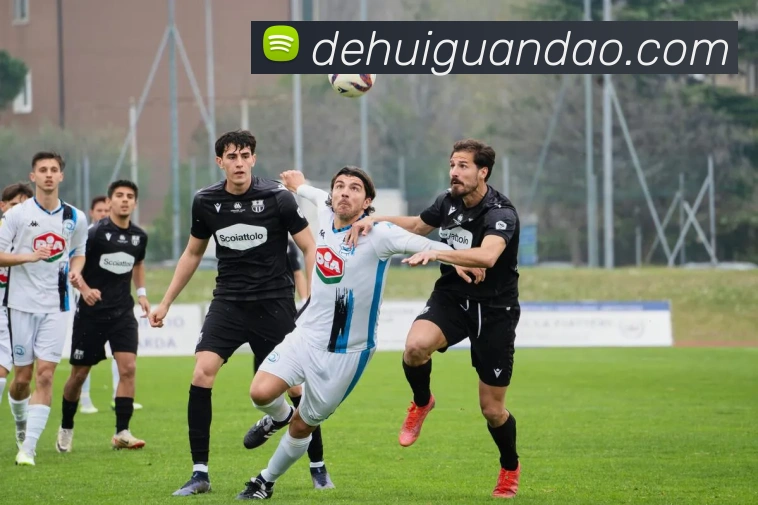 App Interface Preview