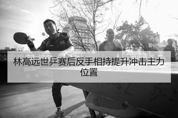 林高远世乒赛后反手相持提升冲击主力位置